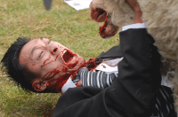 Film: Black Sheep