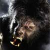 Wolfman