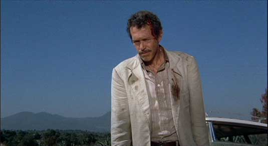 Voglio la testa di Garcia (1974)