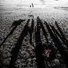 The Thaw - La creatura dei ghiacci (2009)
