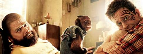 Film: Una Notte da Leoni 2