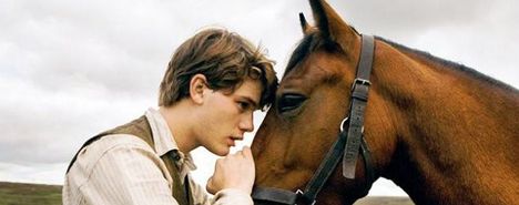 War Horse