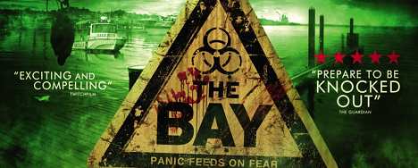 the bay