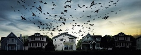 dark skies