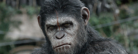 apes revolution foto