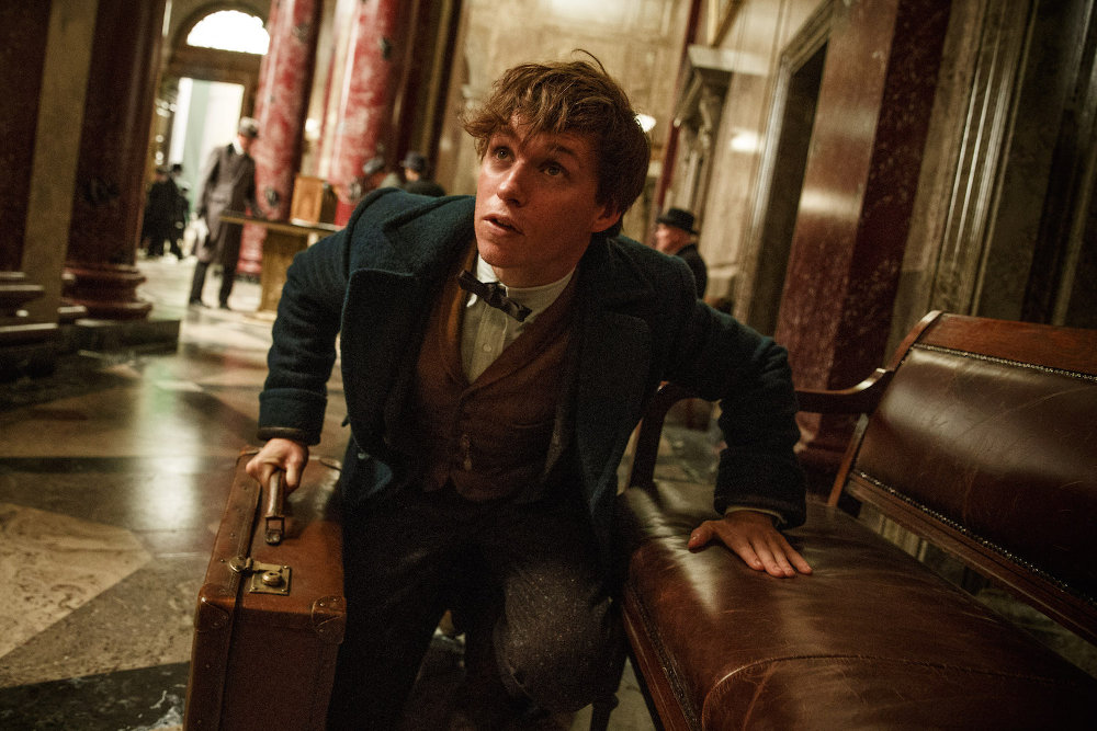 Animali Fantastici e Dove Trovarli - Foto Eddie Redmayne