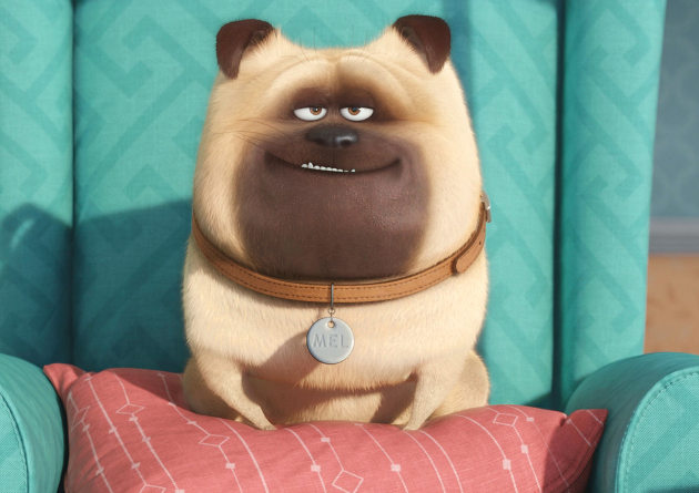 Pets - Vita da animali - Il cast augura Buon Natale 1 Pets - Vita da Animali - Mel