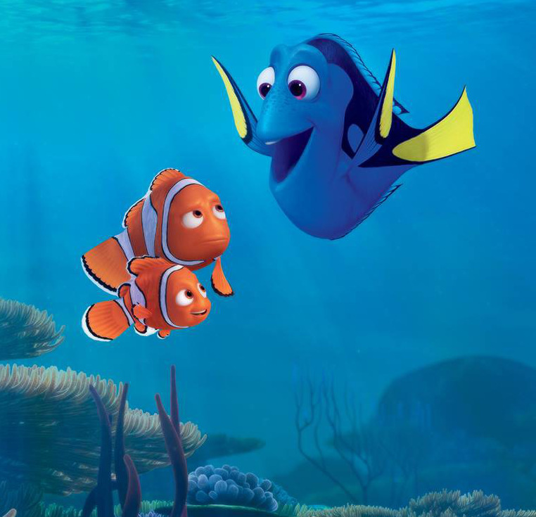 Alla Ricerca di Dory