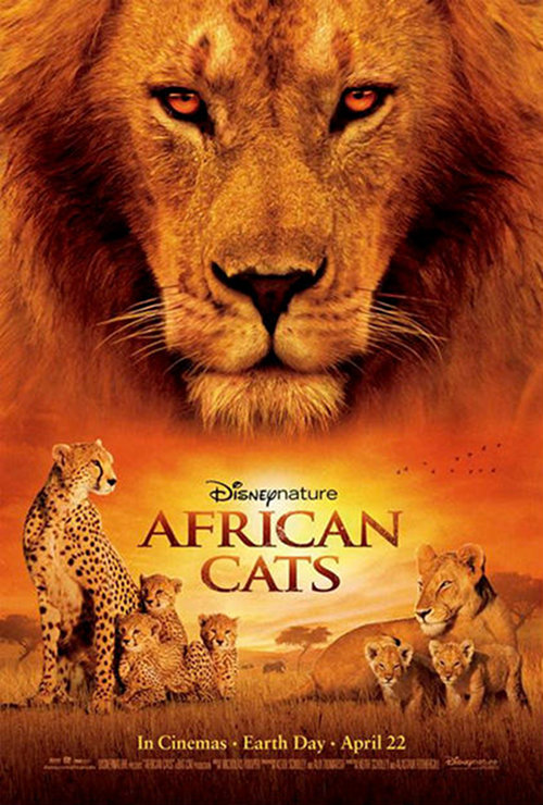 African Cats - 2011
