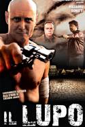 Il Lupo - 2007