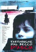 Tartarughe Dal Becco D'ascia - 2000