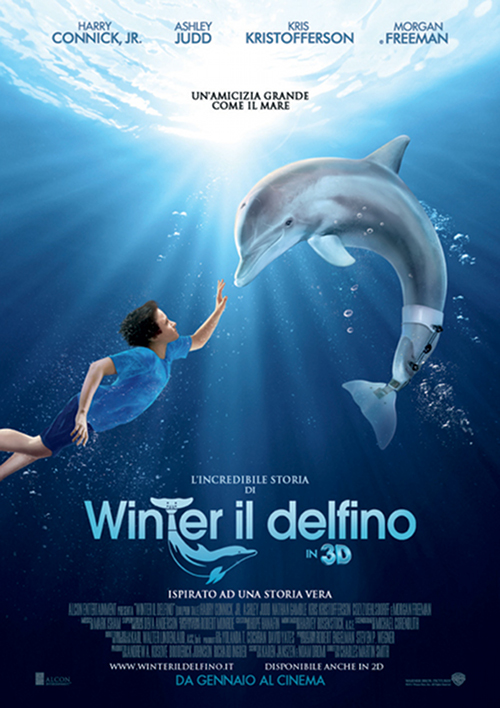 L'incredibile Storia Di Winter Il Delfino - 2011