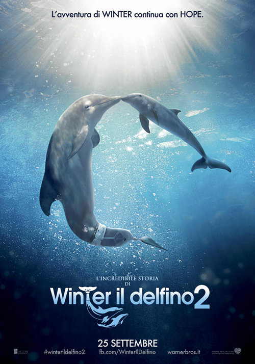 L'incredibile Storia Di Winter Il Delfino 2 - 2014 1 L'incredibile Storia Di Winter Il Delfino 2 - 2014
