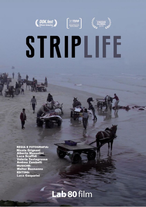 Striplife - Gaza In A Day - 2013