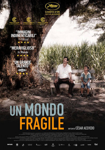 Un Mondo Fragile - 2015 1 Un Mondo Fragile - 2015