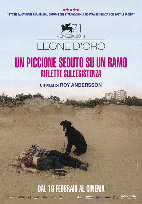 Un Piccione Seduto Sul Ramo Riflette Sull'esistenza - 2014