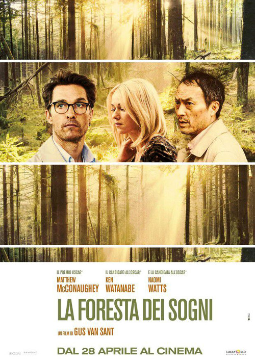 La Foresta Dei Sogni - 2015 1 La Foresta Dei Sogni - 2015