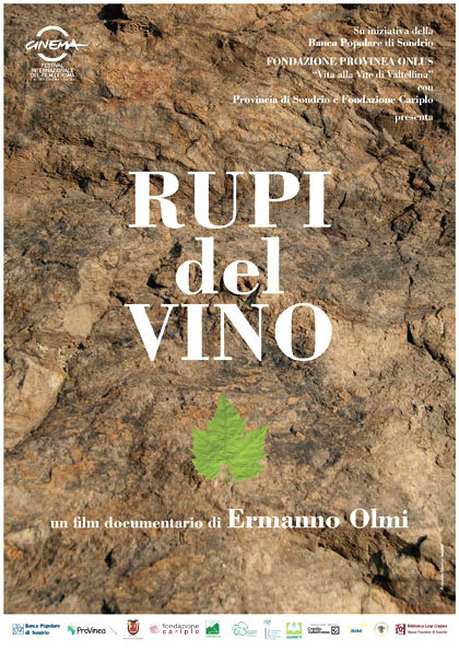Rupi Del Vino - 2016