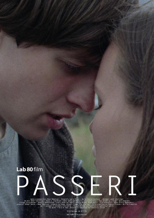 Passeri - 2017