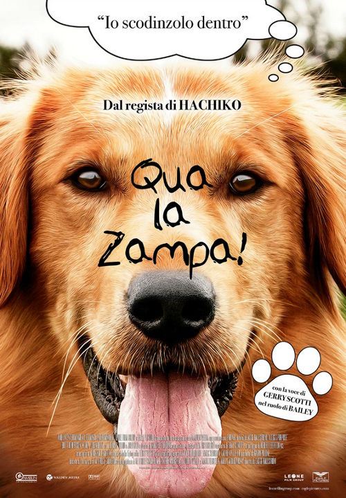 Qua La Zampa! - 2016